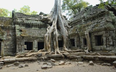 Angkor Archaeological Park, Cambodia