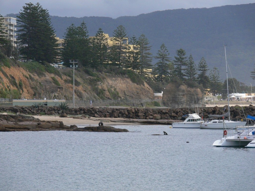 Wollongong beach by contented traveller.com
