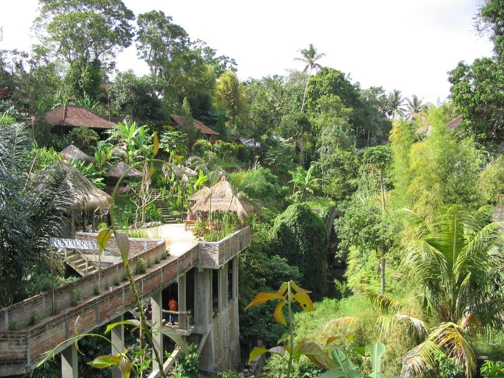 Bali by www.contentedtraveller.com