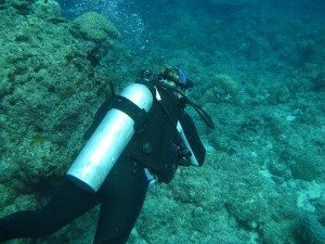 diving in vanuatu