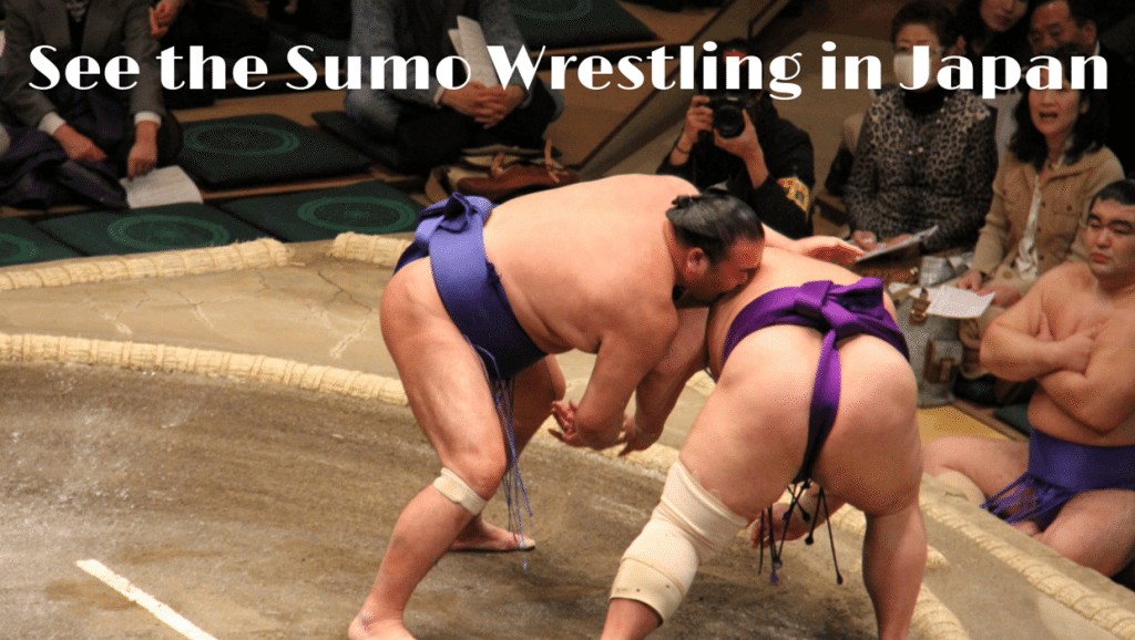 Addicted to Sumo