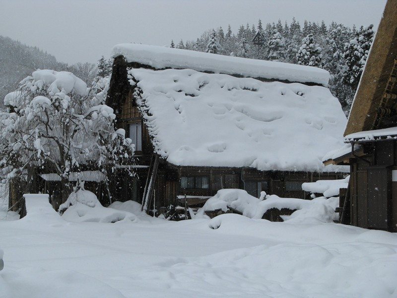 The gassho-zukuri houses of Shirakawa-go, Japan