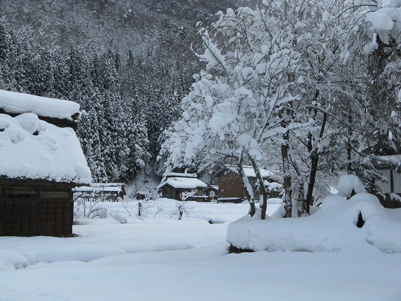 Shirakawa-go