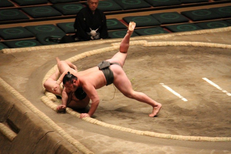 Addicted to Sumo