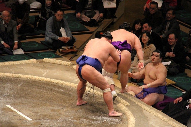 Addicted to Sumo