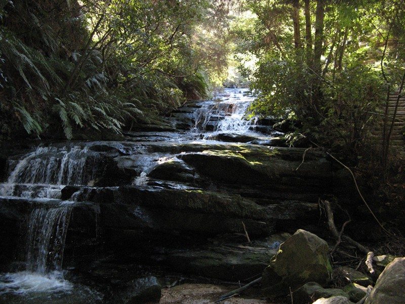 Blue Mountains, NSW