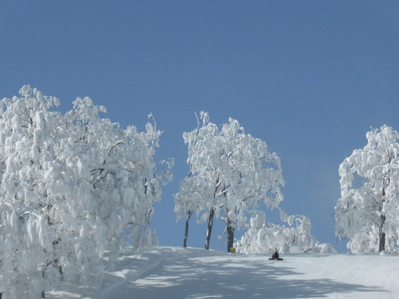 nozawa-onsen-japan