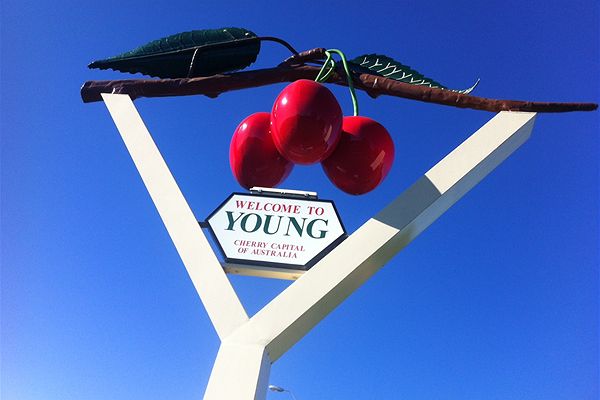 Y is for Young, NSW – Cherry Capital of Australia