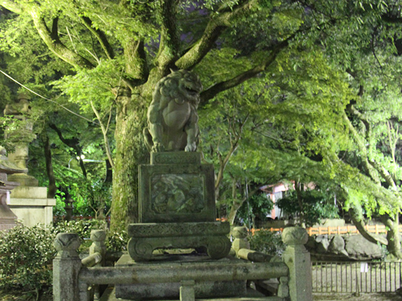 kyoto at night