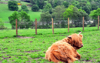 Scotland – “Outside my Front Door” by Country Hopping Couple