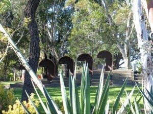 wollongong-botanic-garden