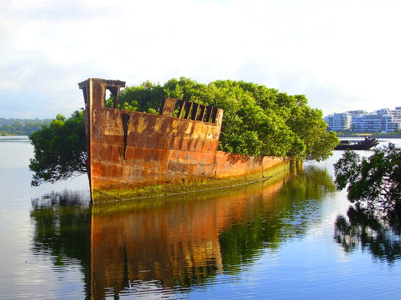 Floating Forest in Sydney Australia