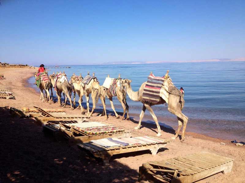 dahab