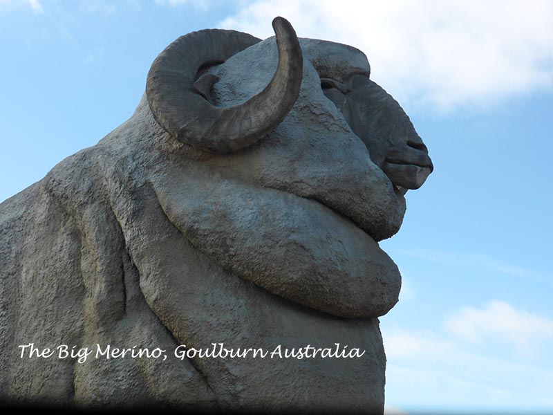 The Story of the Big Merino & Trappers Bakery, Goulburn Australia
