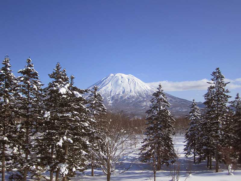 niseko skiing in japan