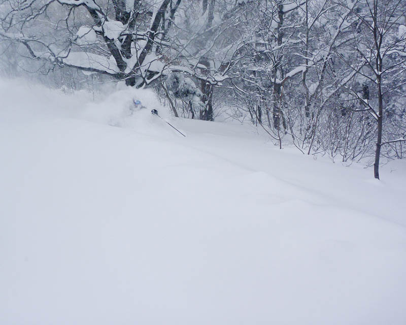 shigakogen skiing in japan