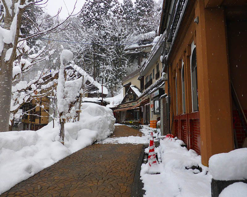 skiing in japan