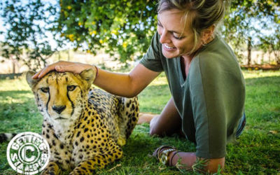 Overlanding Africa – Outside our Front Door