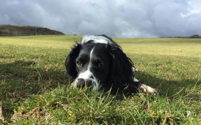 The English Lake District, UK: Outside my Front Door