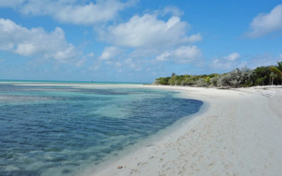 The Bahamas – Outside My Front Door