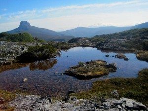 tasmania-view