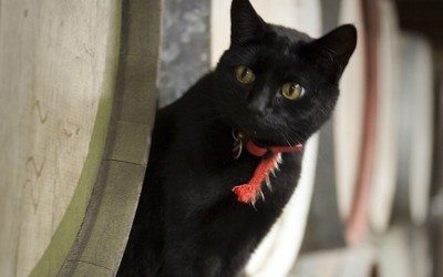 Silos Winery and Restaurant, Berry