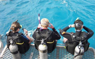 A 10 Day Road Trip Around Tropical North Queensland