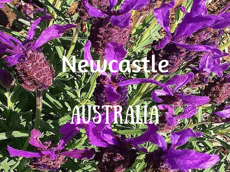 Newcastle, Australia – Outside my Front Door