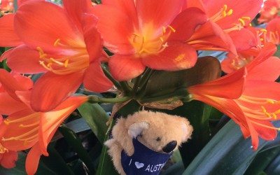 Our Up Coming Road Trip to the USA and Canada