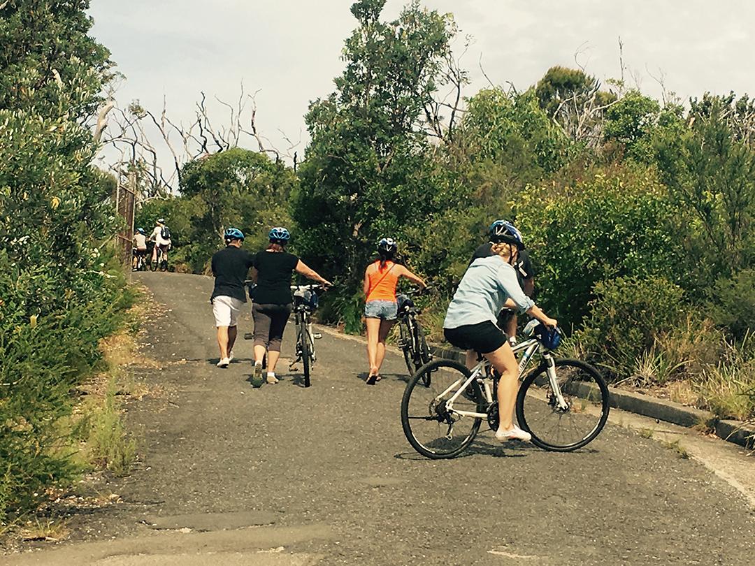 cycling-qstation