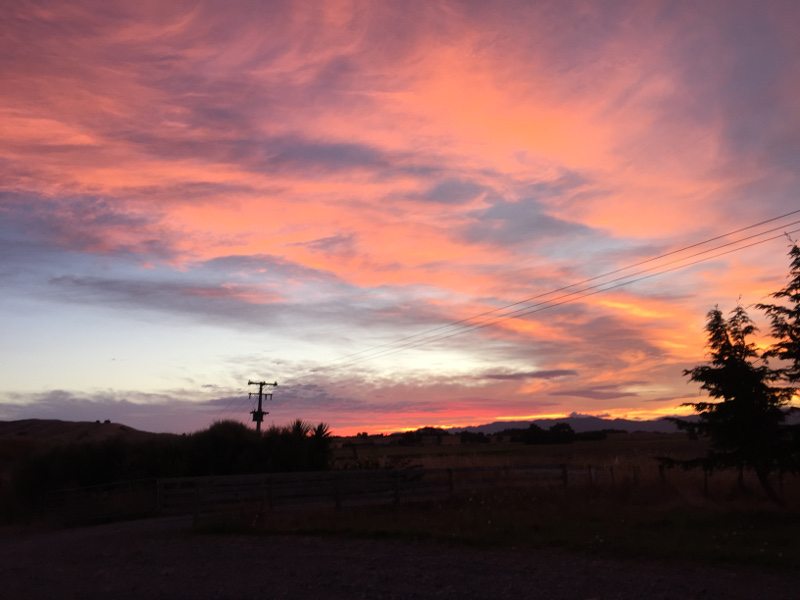 Martinborough, NZ - Outside my Front Door