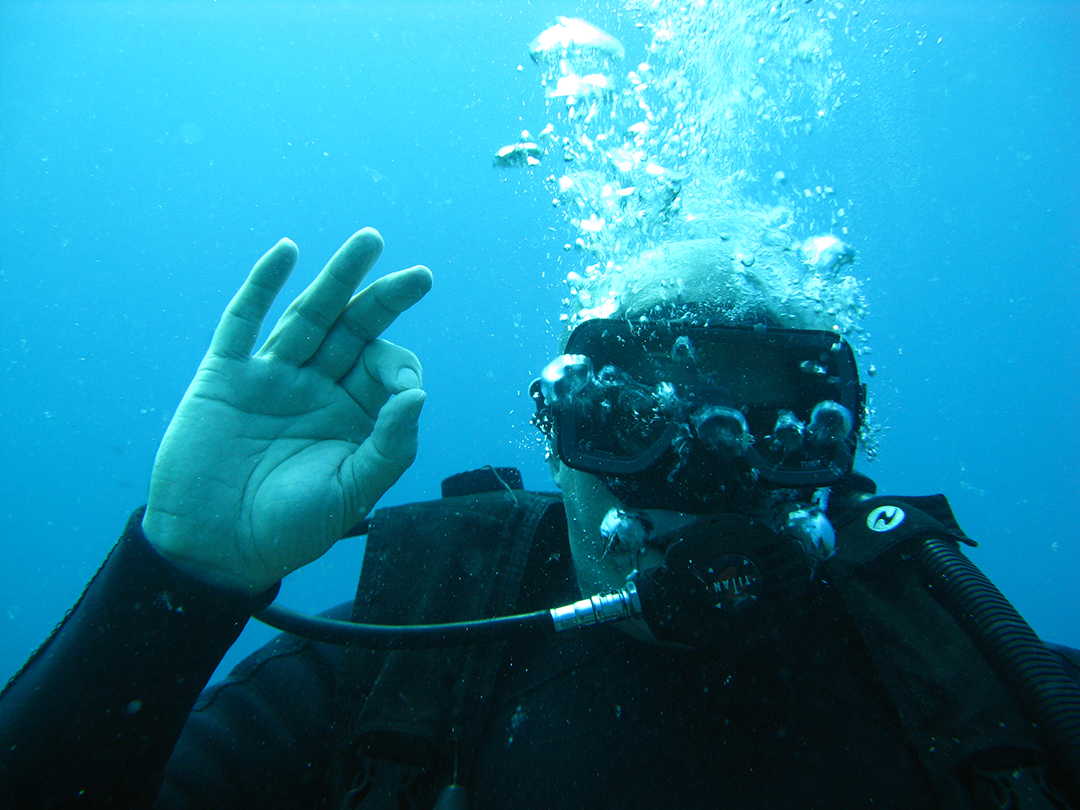 There are many things to do in this archipelago of islands, and diving in Vanuatu is a huge draw card for visitors