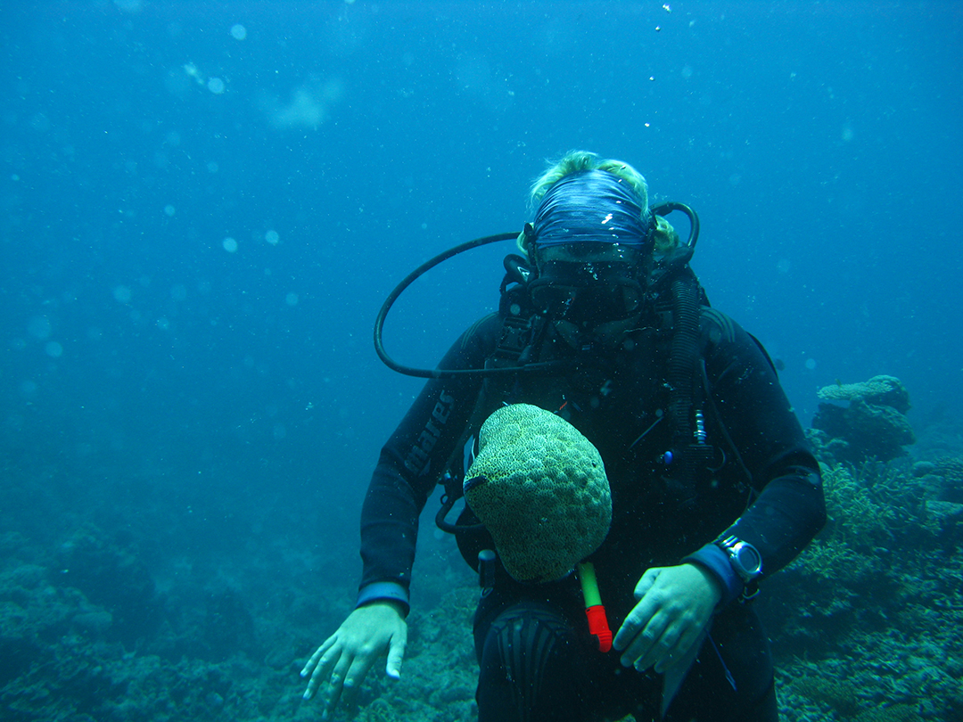 There are many things to do in this archipelago of islands, and diving in Vanuatu is a huge draw card for visitors