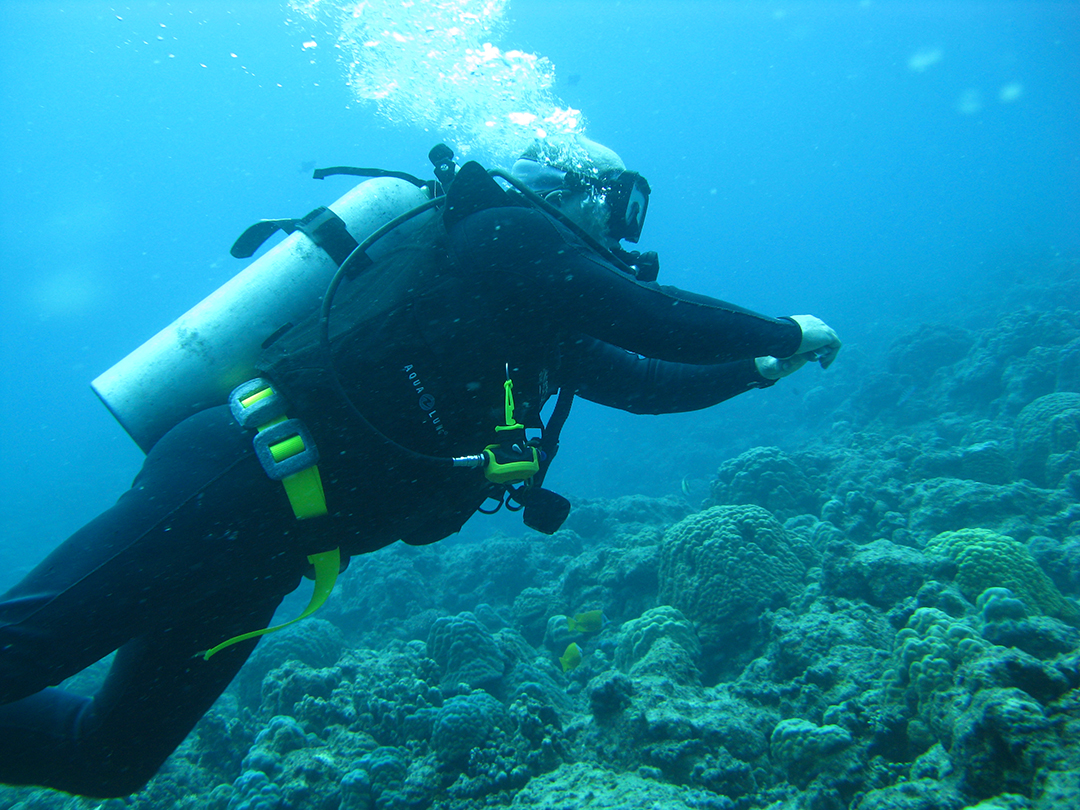 There are many things to do in this archipelago of islands, and diving in Vanuatu is a huge draw card for visitors