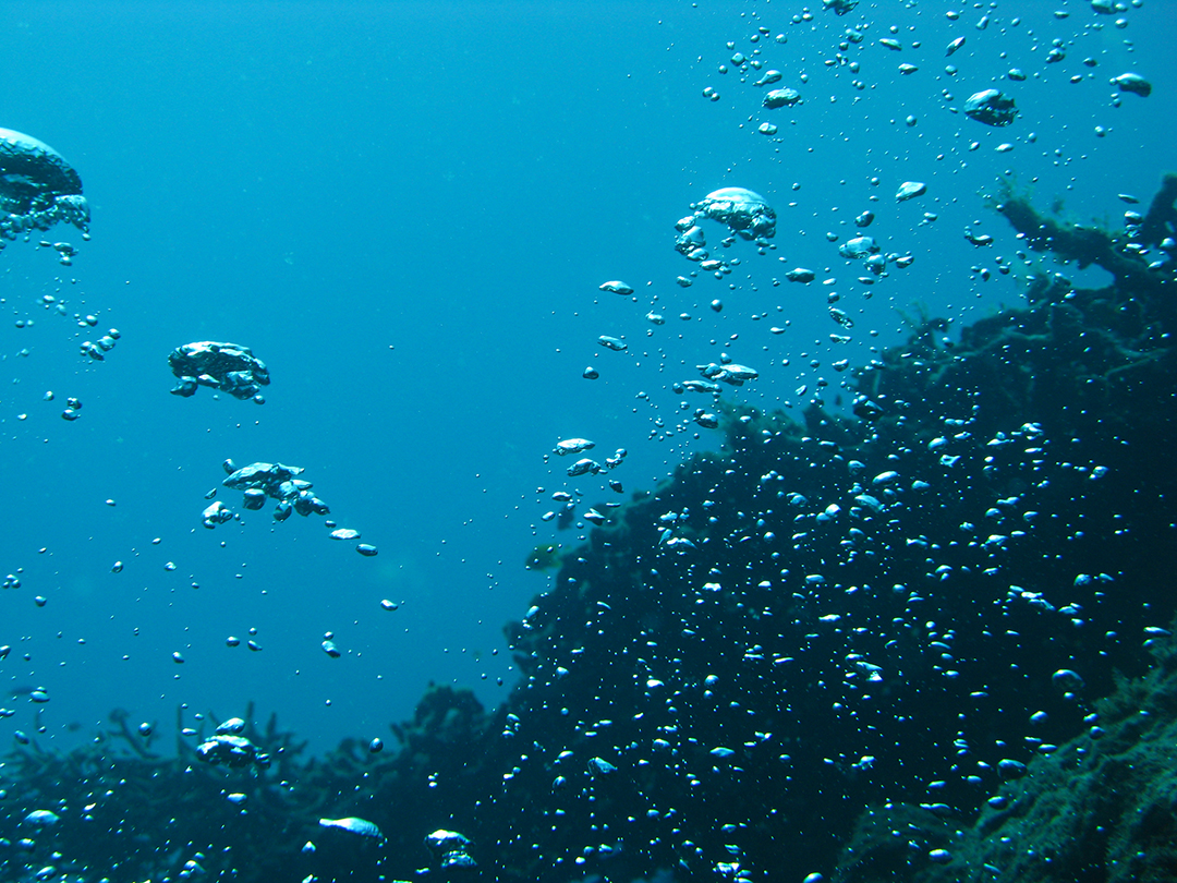 There are many things to do in this archipelago of islands, and diving in Vanuatu is a huge draw card for visitors