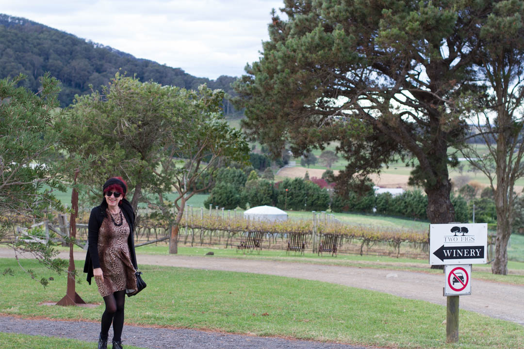 The Food and Wine Scene in Berry, NSW-paula