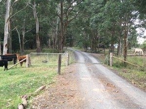 Mt Hay Luxury Retreat in Berry, NSW. This is a beautiful retreat overlooking the gastronomic town of Berry, NSW