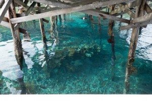 Your Questions Answered About Visiting Raja Ampat, West Papua