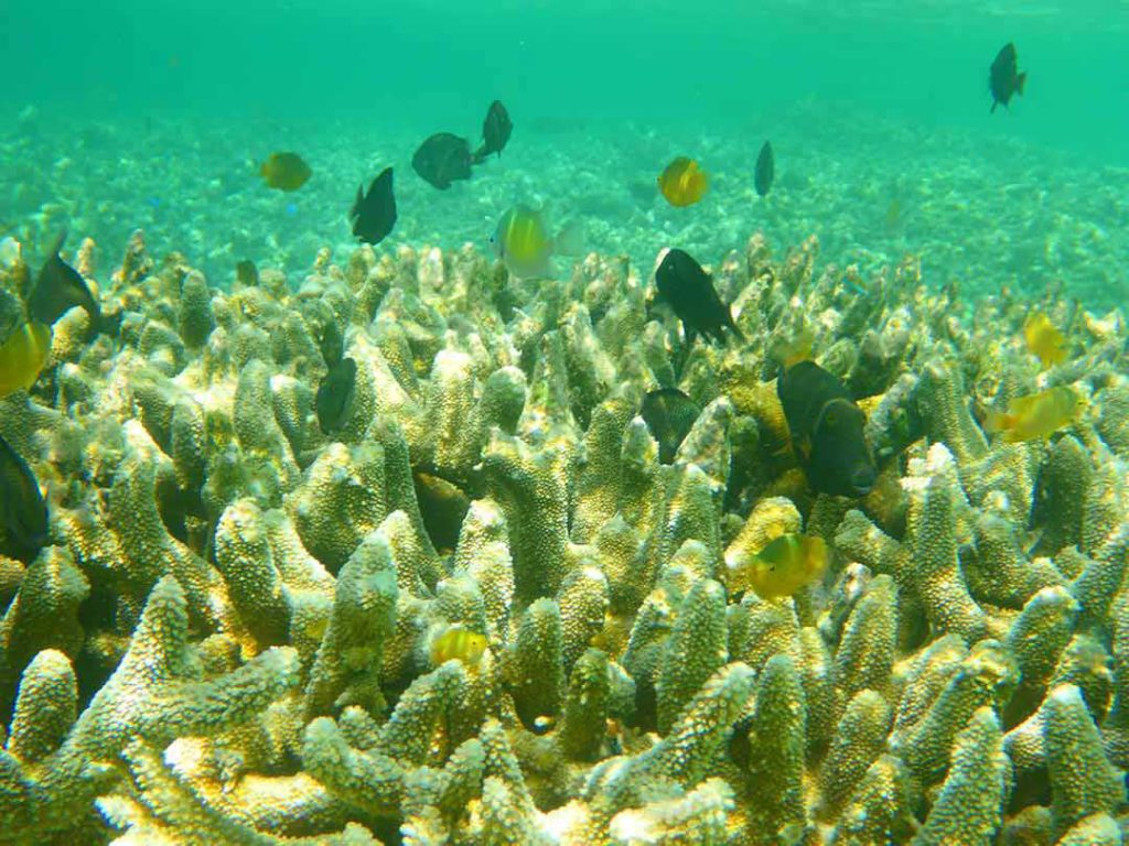 Raja Ampat, West Papua, Indonesia