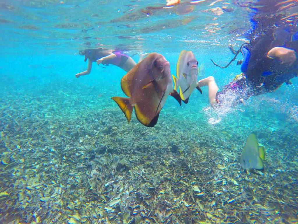 Raja Ampat, West Papua, Indonesia