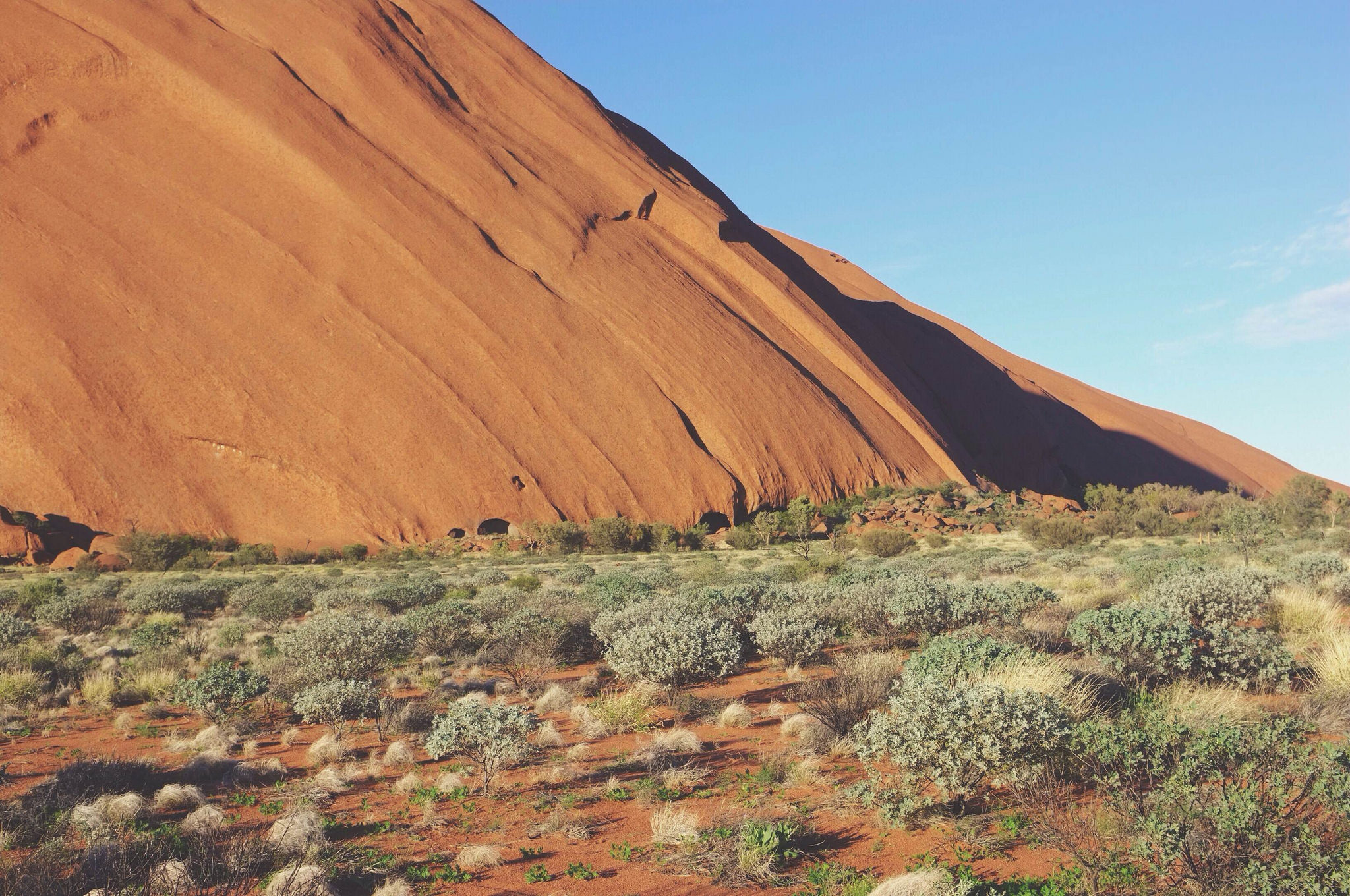 Organizing A Campervan Trip To Uluru