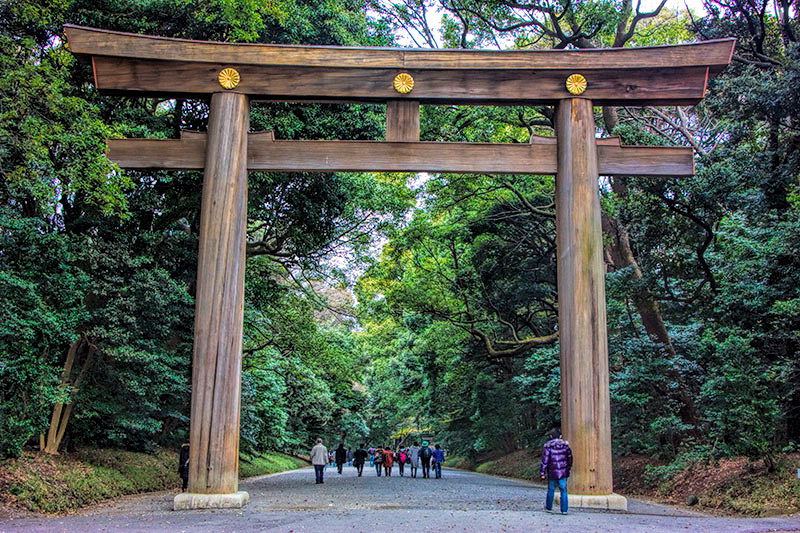 14 Unique Things you can do in Tokyo