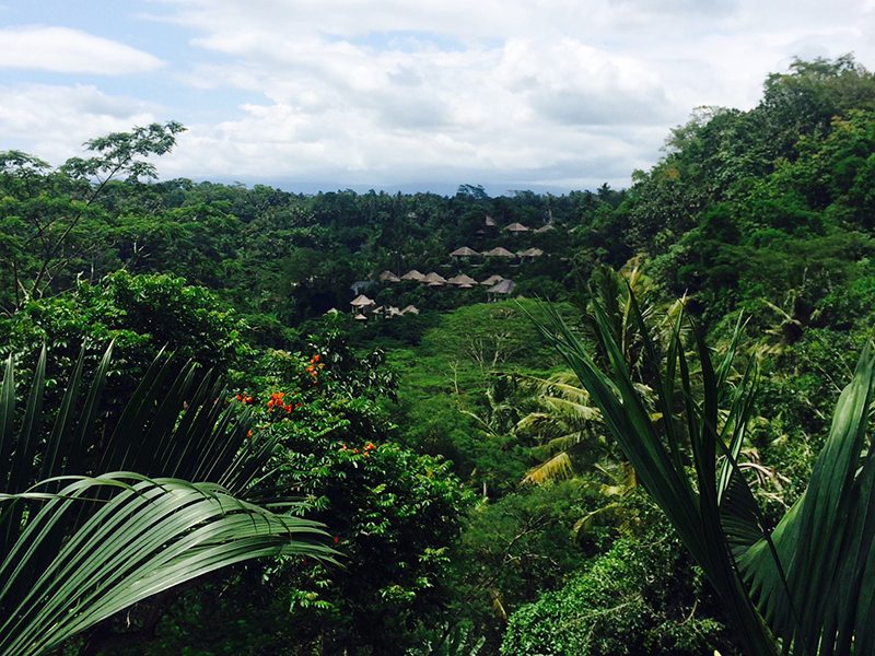 Hanging Gardens of Bali