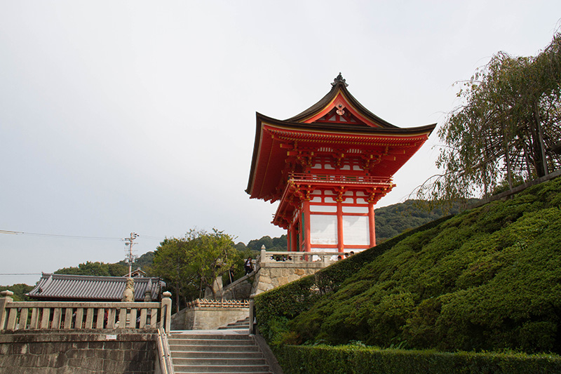 Top 6 Reasons to Visit Kyoto