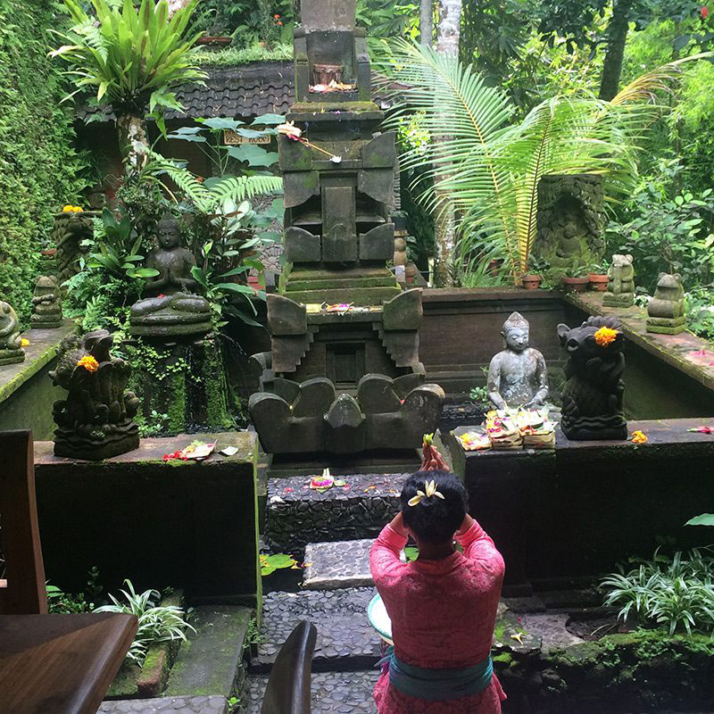 48 hours in Ubud