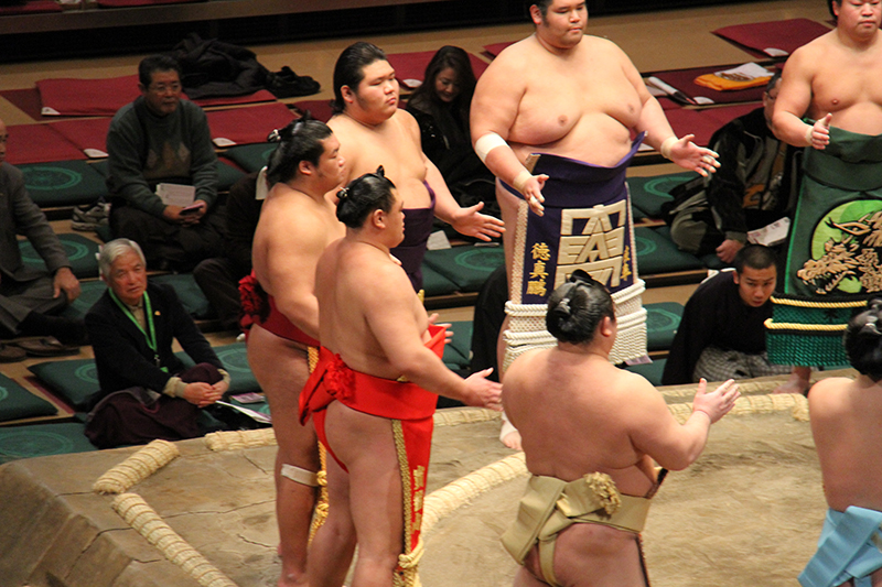 sumo wrestler gear