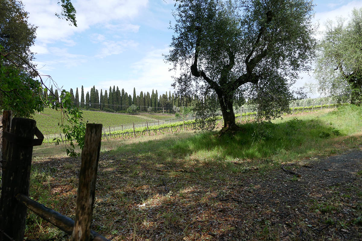 Best Cooking Class in Tuscany