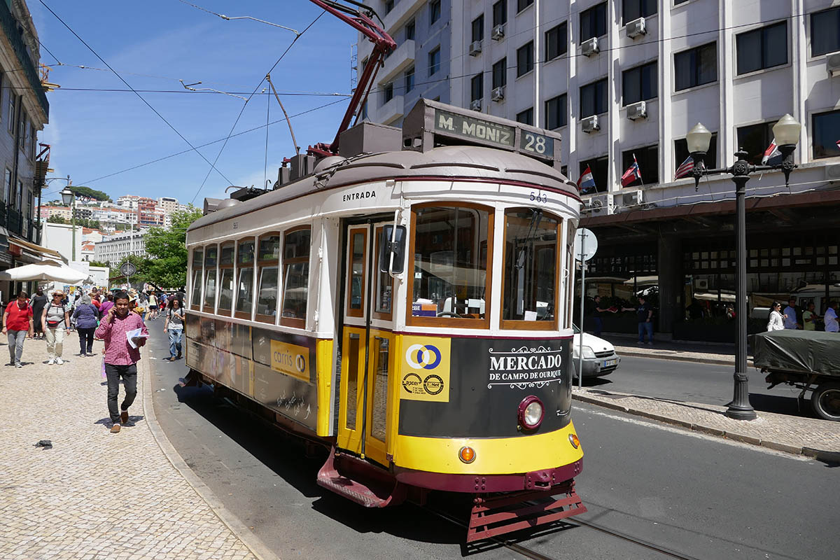 Learning about Lisbon from a local 