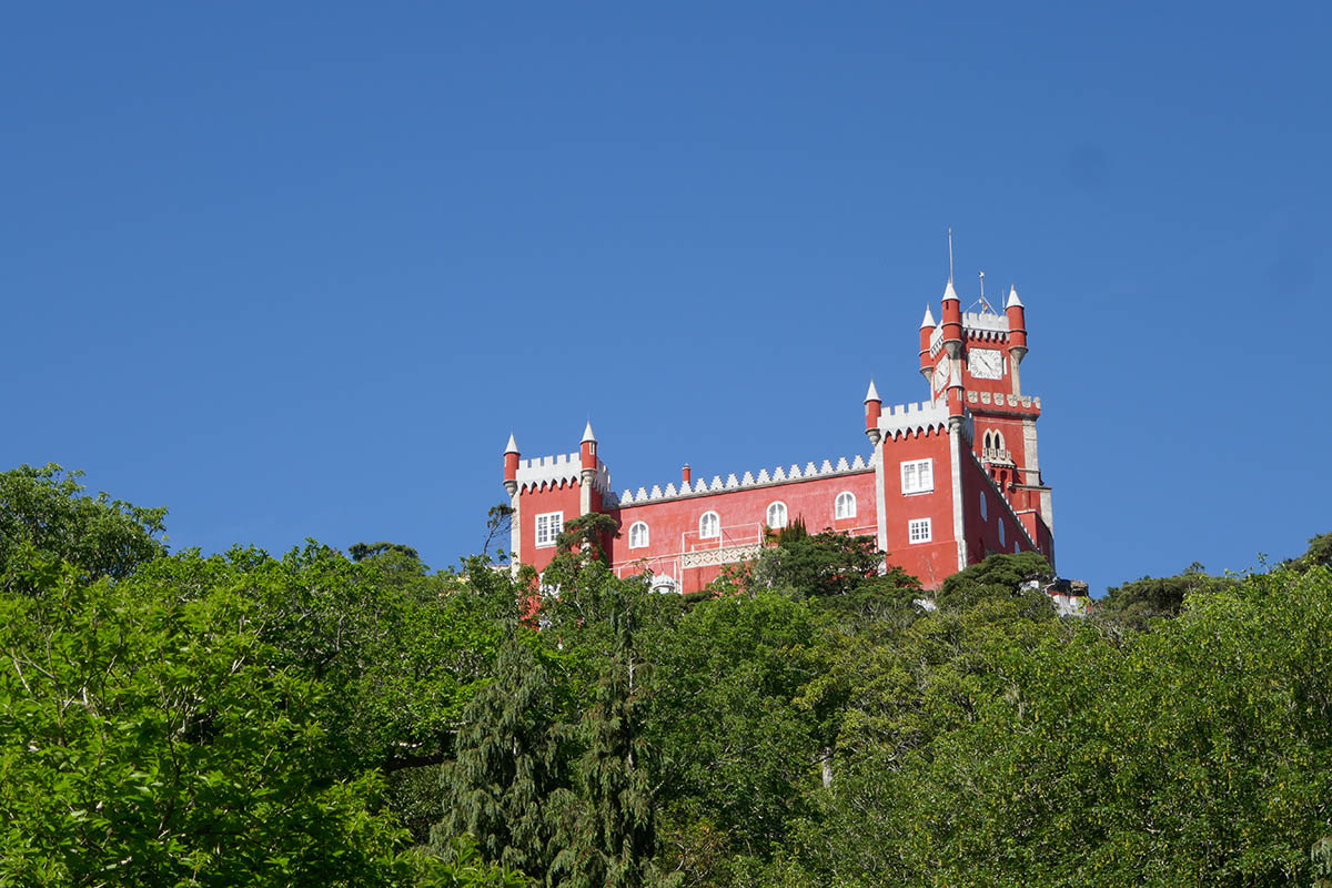 Learning about Lisbon from a local 