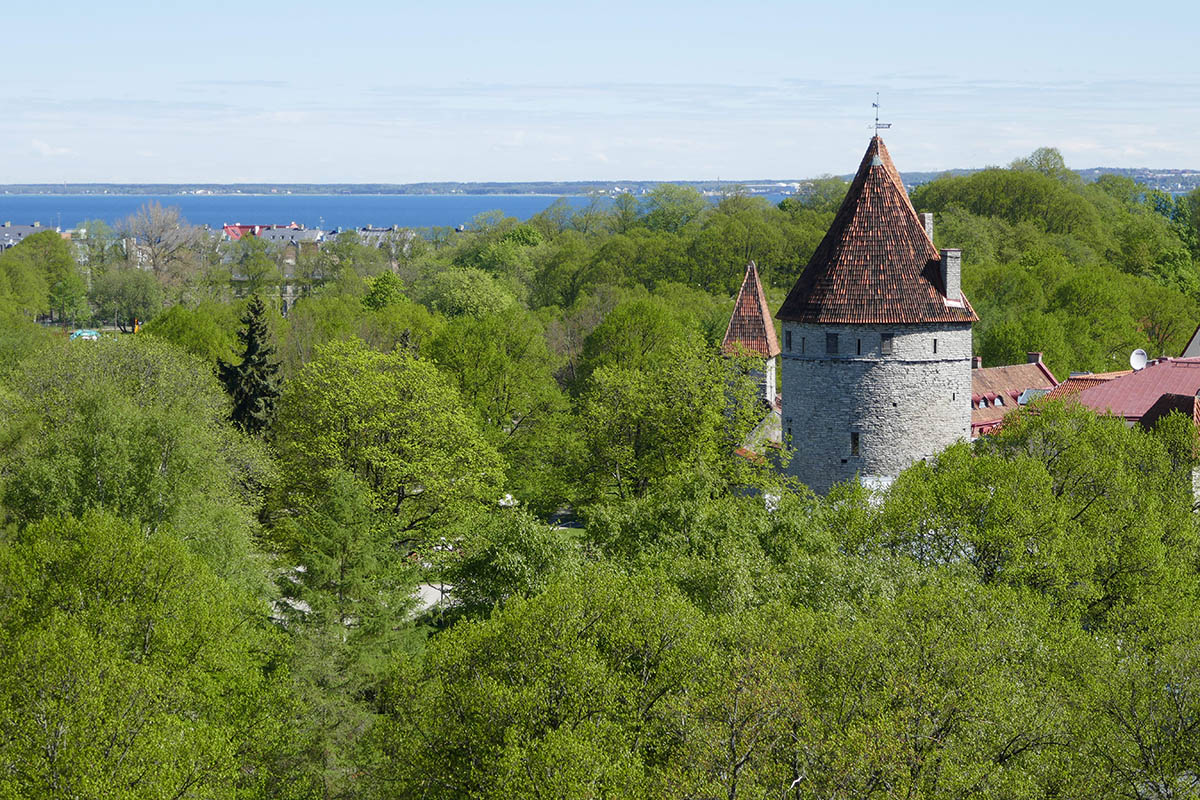 Why Tallinn Estonia or e-Estonia is so popular